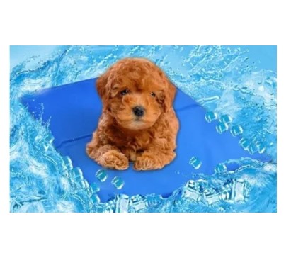 Manta Refrigerante para Mascota talla M