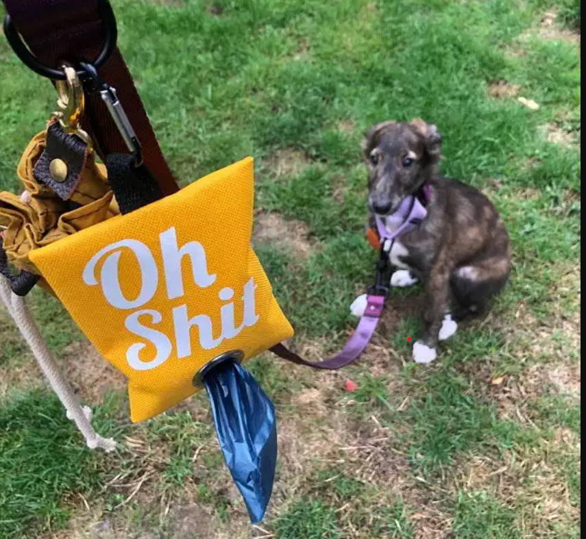 Dispensador para popo de mascotas