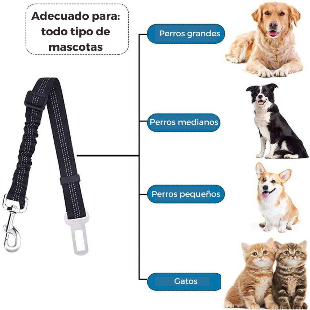 Cinturón de seguridad para mascotas