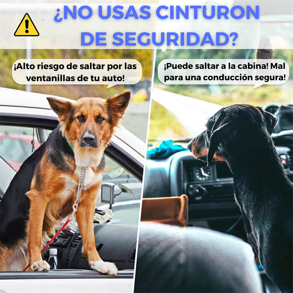 Cinturón de seguridad para mascotas